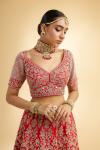 Vermillion Red Raw Silk Lehenga