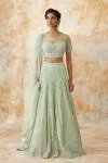 Mint Green Net Lehenga