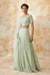 Mint Green Net Lehenga