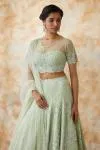 Mint Green Net Lehenga
