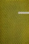 Green Banarasi Tussar Silk Saree