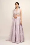 Silver Orchid Raw Silk Lehenga