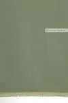 Pastel Light Green Organza Saree