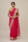 Rosa Organza Saree