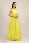 Lime Green Georegette Anarkali
