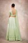 Lily Green Chikankari Lehenga