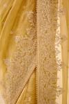 Golden Crest Embroidered Tissue Organza Saree