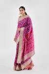 Rani Pink Patola Silk