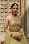 Yellows at Dusk Lehenga