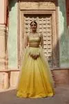 Yellows at Dusk Lehenga