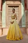 Yellows at Dusk Lehenga