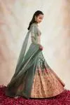 Rare Grey Banarasi Silk Paithni Lehenga