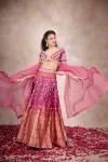 Onion Pink Banarasi Paithni Lehenga