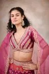 Onion Pink Banarasi Paithni Lehenga