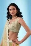 Lime Green Georgette Lehenga