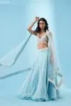 Arctic Blue Organza Lehenga
