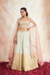 Powder Grey Banarasi Silk Lehenga