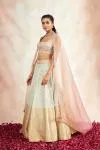 Powder Grey Banarasi Silk Lehenga