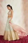 Powder Grey Banarasi Silk Lehenga
