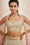 Powder Grey Banarasi Silk Lehenga
