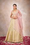 Sage Banarasi Silk Lehenga