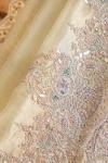 Pista Tissue Organza Saree