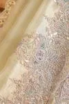 Pista Tissue Organza Saree