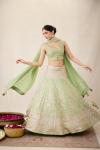 Parrot Green Lehenga Set