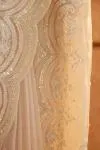 Champagne Tissue Organza Saree