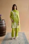 Parrot Green Suit Set