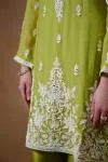 Parrot Green Suit Set