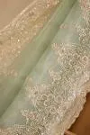  Ocean Green Tissue Organza Saree