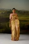 Champagne Gold Tissue Silk Saree