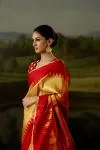 Red And Gold Tissue Silk Saree