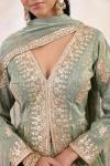 Olive Mist Tissue Sharara Set 