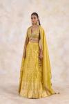 Burnished Mustard Lehenga Set 