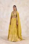 Burnished Mustard Lehenga Set