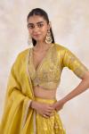 Burnished Mustard Lehenga Set 
