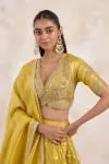 Burnished Mustard Lehenga Set