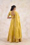 Burnished Mustard Lehenga Set 