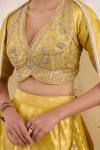 Burnished Mustard Lehenga Set 