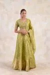 Olive Gold Lehenga Set