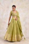Olive Gold Lehenga Set 