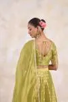Olive Gold Lehenga Set