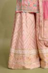 Desert Pink Sharara Set 