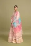 Desert Pink Sharara Set