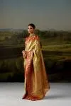 Mustard Gold Tissue Silk Saree