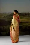Mustard Gold Tissue Silk Saree