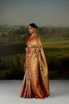 Champagne Gold Uppada Silk Saree