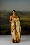 Gold Uppada Tissue Silk Saree